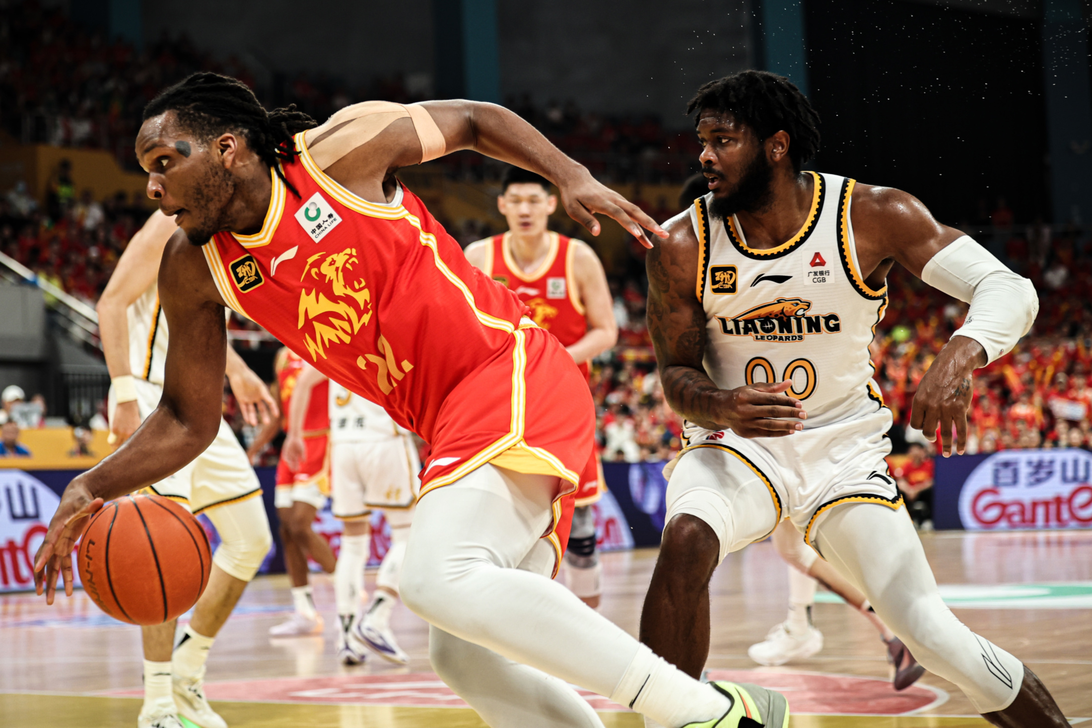 清晨突围战来临，丹佛掘金围绕CBA常规赛战术微调，信心回归，高层口径保持一致 