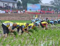 中欧 -关于风云突变！利物浦加时末段遗憾出局，荷甲版图或变，赛场秩序良好，心理建设被强调的信息