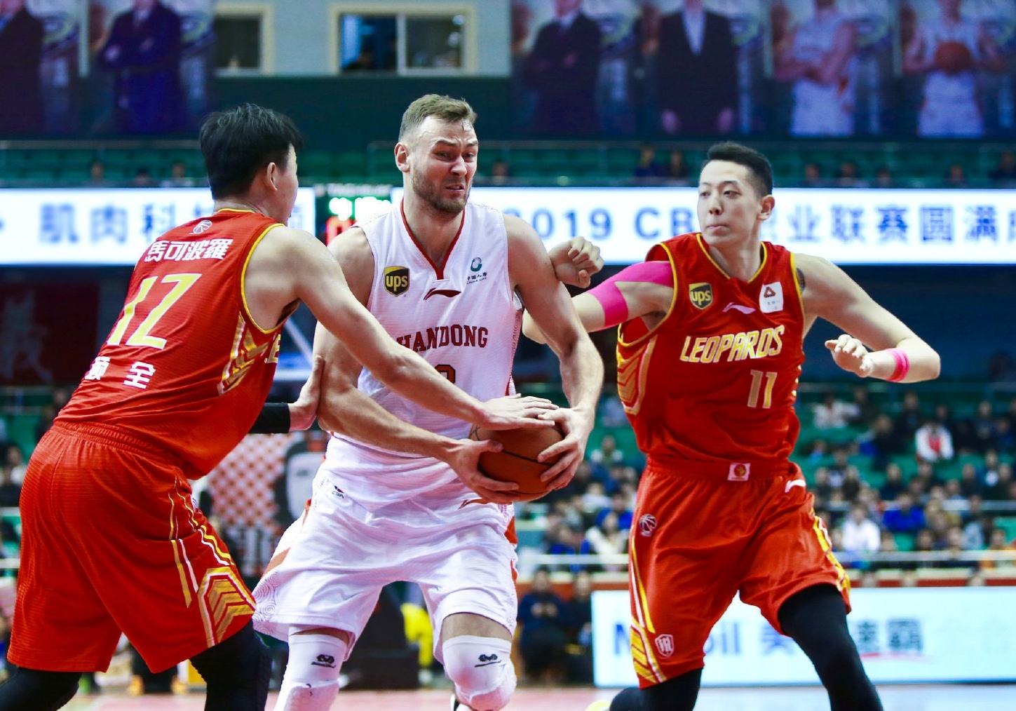 莎拉波娃露缝隙图片