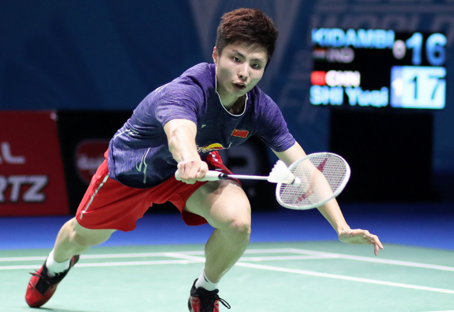 莎拉波娃露缝隙图片